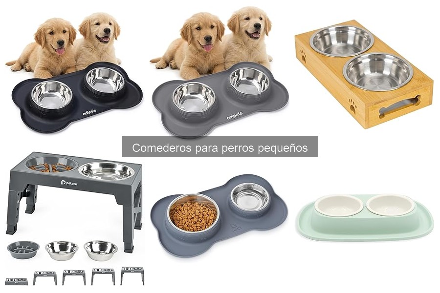 Dónde comprar comederos para perros pequeños a buen precio