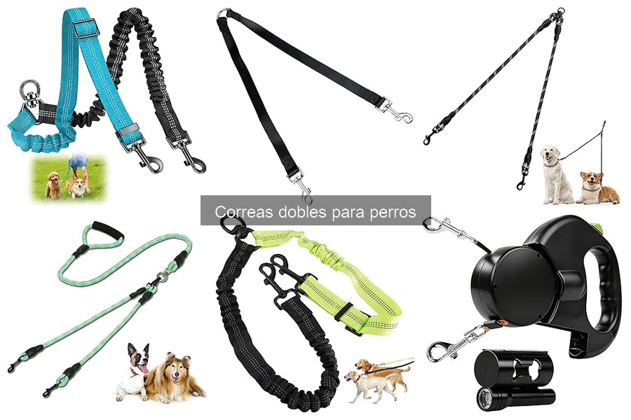 Dónde comprar correas dobles para perros: mejores opciones