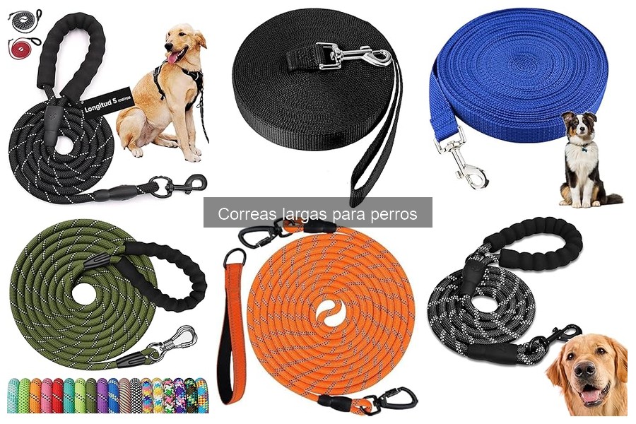 Dónde comprar correas largas para perros: guía de tiendas