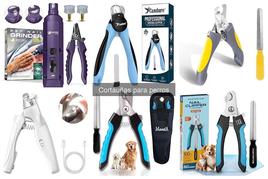 Dónde comprar cortauñas para perros a buen precio