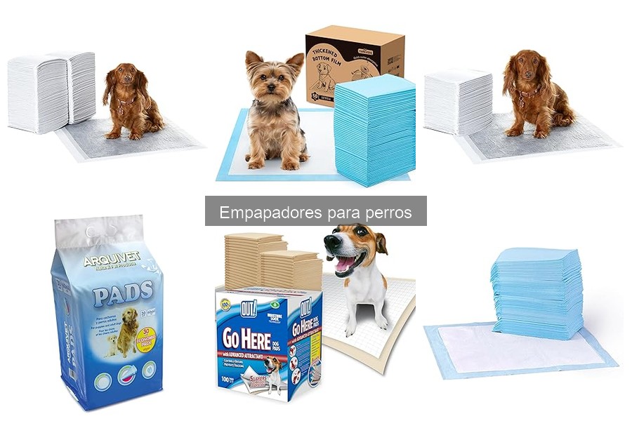 Dónde comprar empapadores para perros: Comparativa y precios
