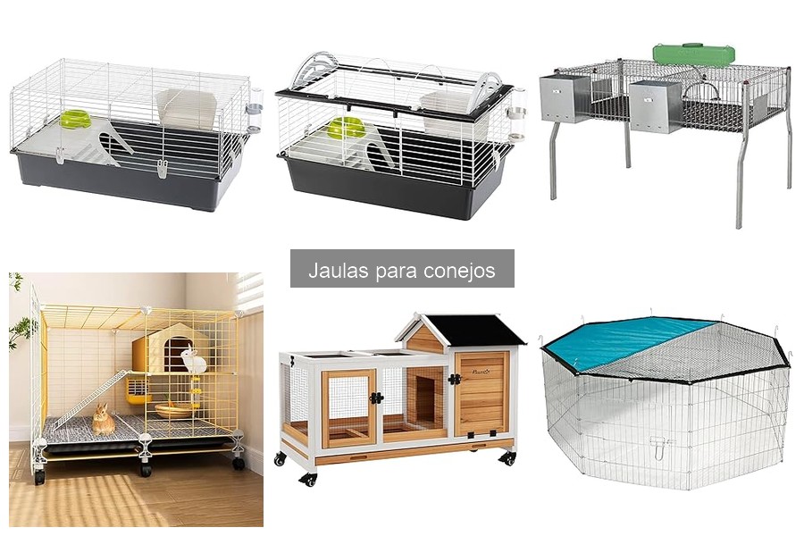 Dónde Comprar Jaulas para Conejos Online: Comparativa y Mejores Tiendas