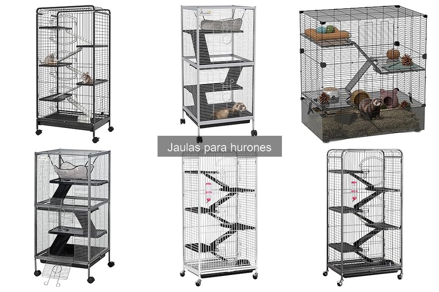 Dónde comprar jaulas para hurones: opciones en línea y tiendas