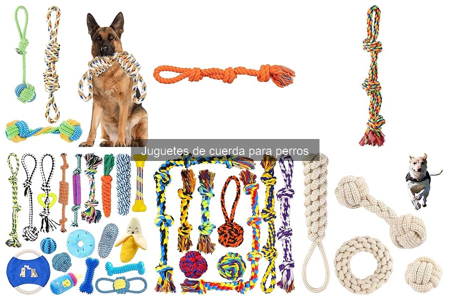 Dónde comprar juguetes de cuerda para perros al mejor precio