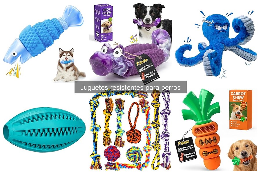 Dónde comprar juguetes resistentes para perros online