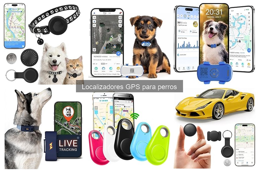 Dónde comprar localizadores GPS para perros online