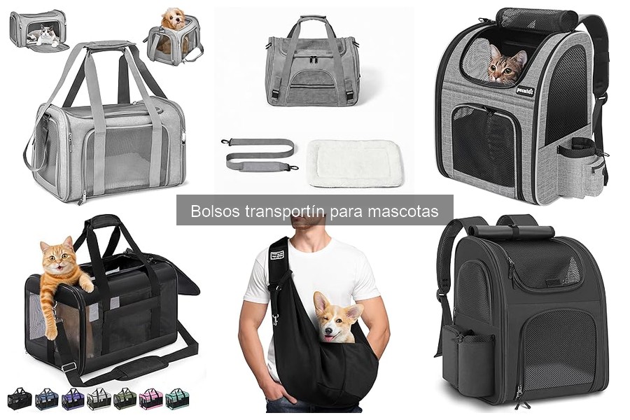 Dónde comprar los mejores bolsos transportín para mascotas