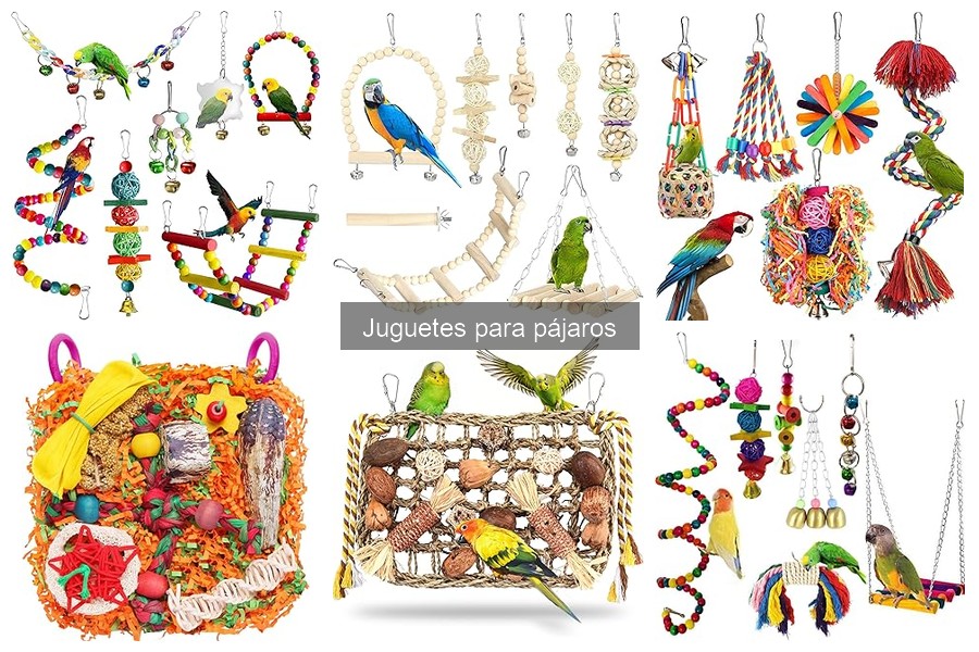 Dónde comprar los mejores juguetes para pájaros online y en tienda