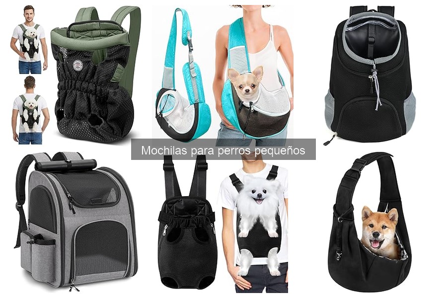 Dónde comprar mochilas para perros pequeños y precios