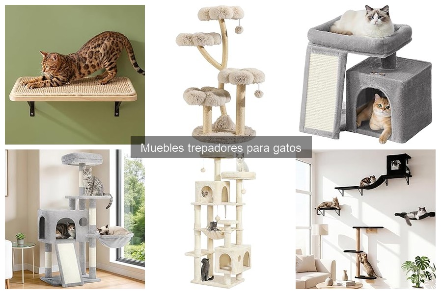 Dónde comprar muebles trepadores para gatos: mejores opciones
