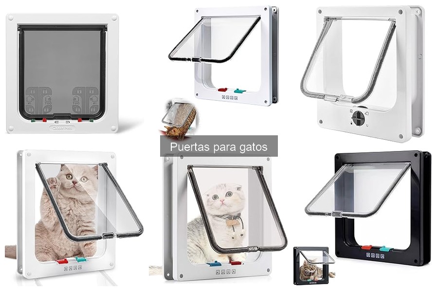 Dónde Comprar Puertas para Gatos a Buen Precio