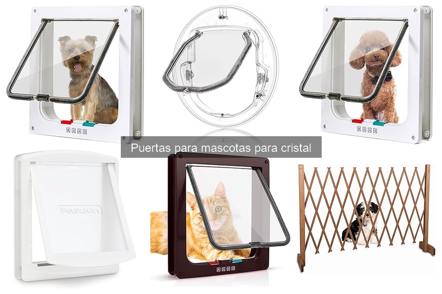 Dónde comprar puertas para mascotas de cristal fácilmente