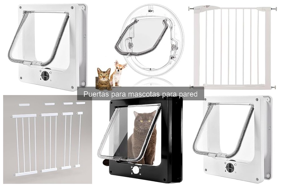 Dónde comprar puertas para mascotas para pared fácilmente