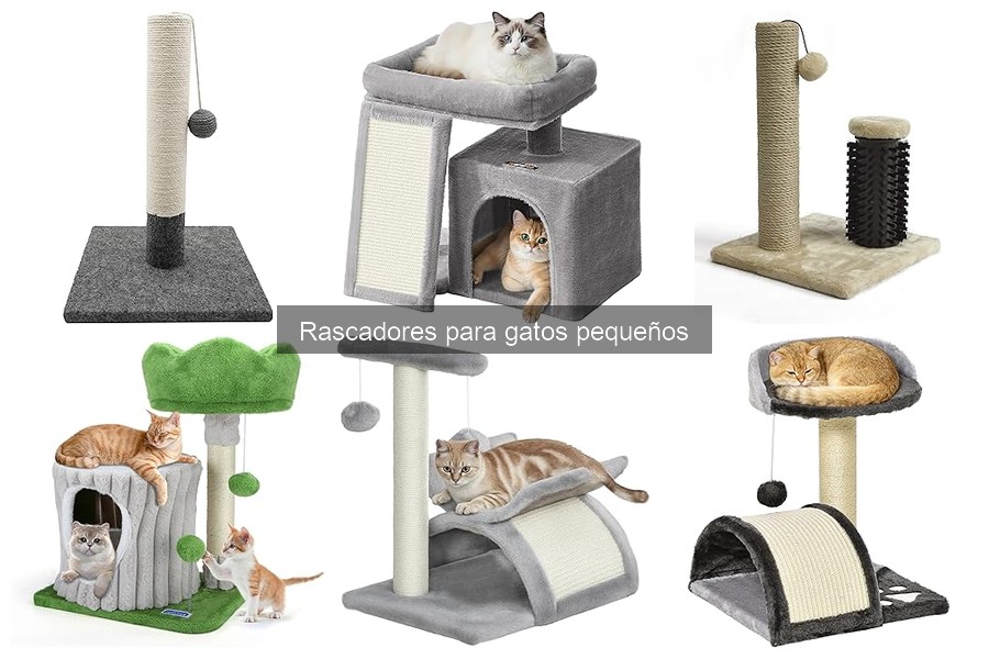 Dónde comprar rascadores para gatos pequeños: Mejores tiendas