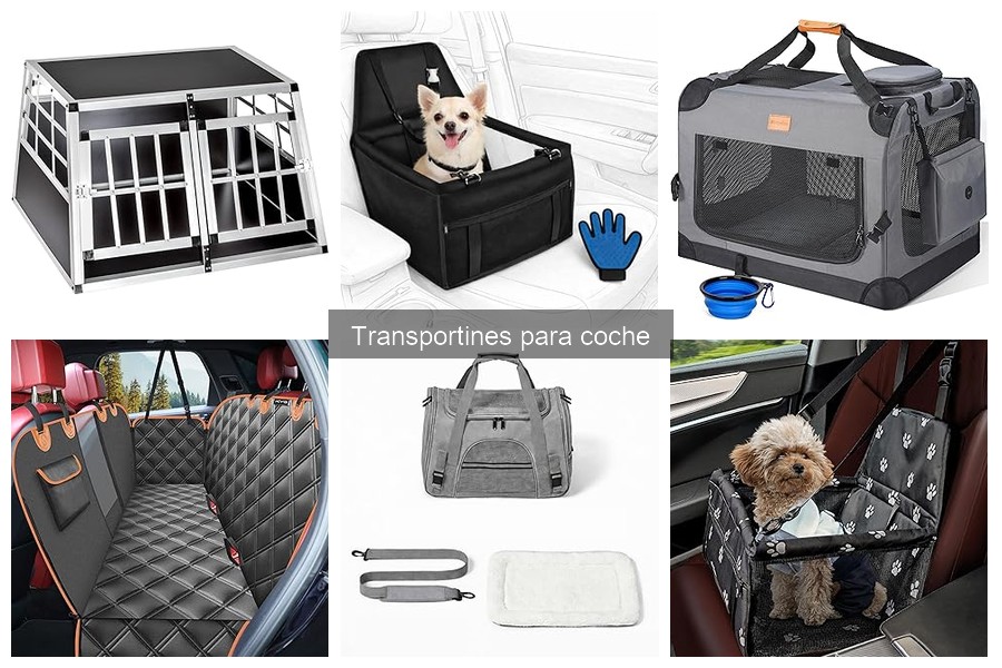 Dónde comprar transportines para coche: mejor guía de opciones
