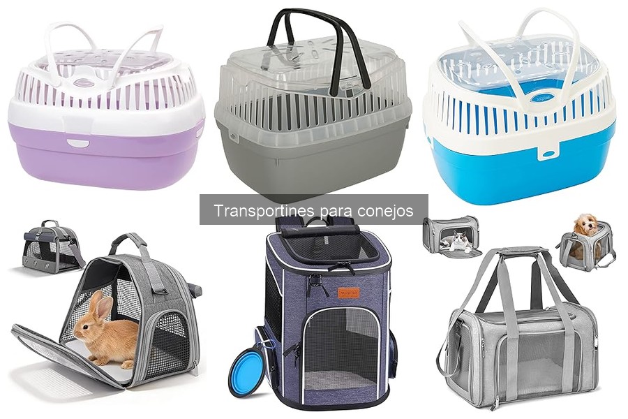 Dónde Comprar Transportines para Conejos Online: Mejores Opciones