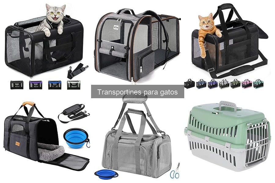 Dónde comprar transportines para gatos: mejores opciones