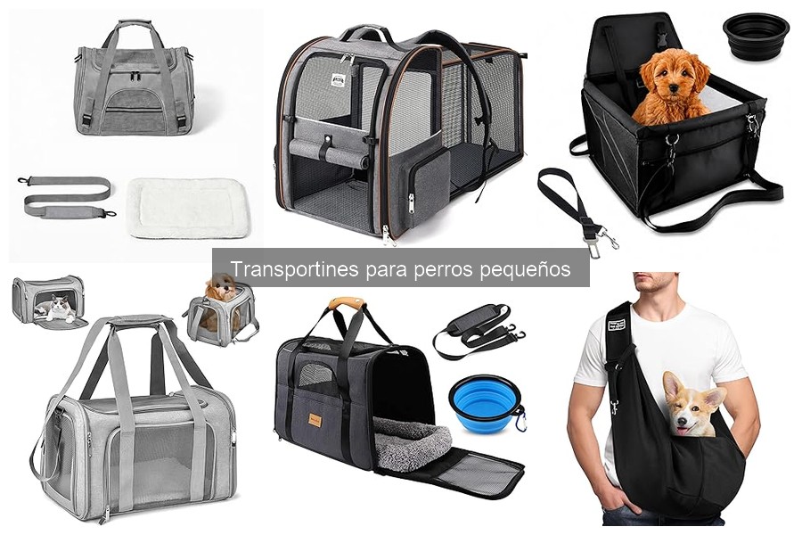 Dónde comprar transportines para perros pequeños a buen precio
