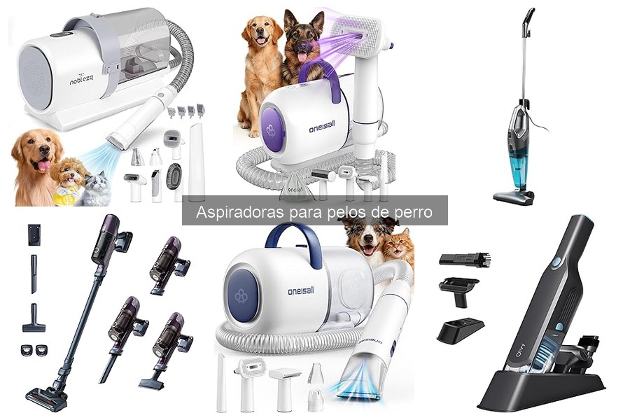 Durabilidad de aspiradoras para pelos de perro: Opiniones y más