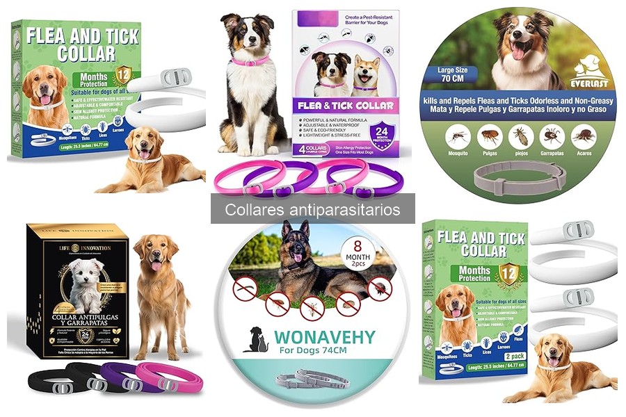 Duración y Eficacia de Collares Antiparasitarios para Perros