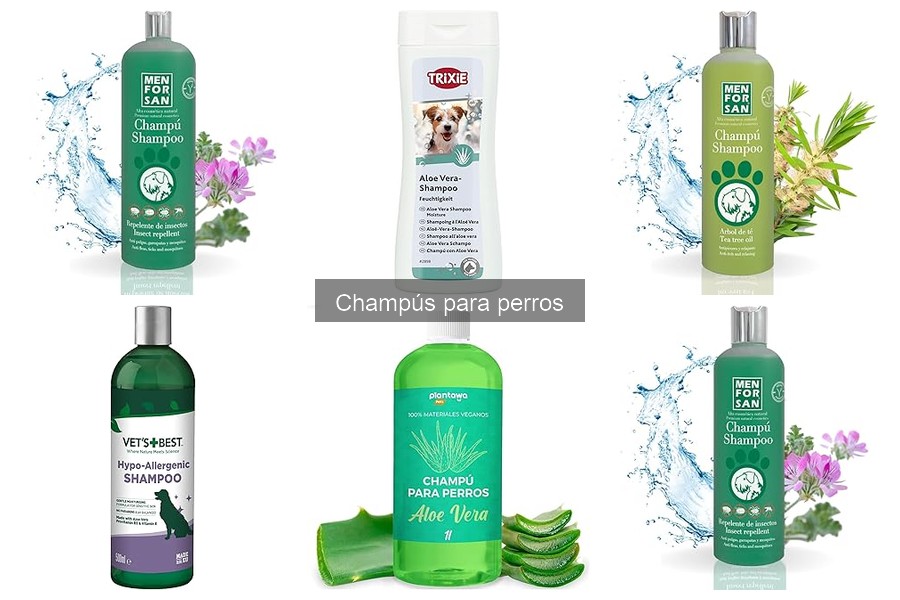 Efectividad de los Champús Antiparasitarios para Perros