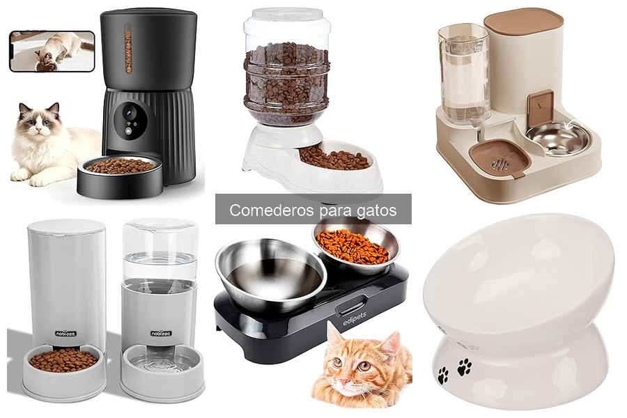 Efectividad de los comederos de slow feeding para gatos
