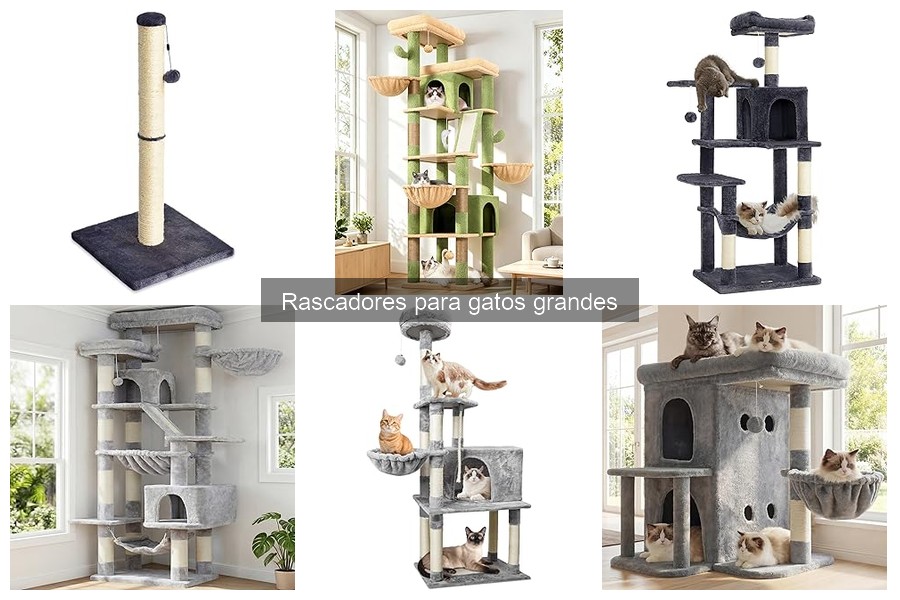 Efectividad de Rascadores para Gatos en Muebles