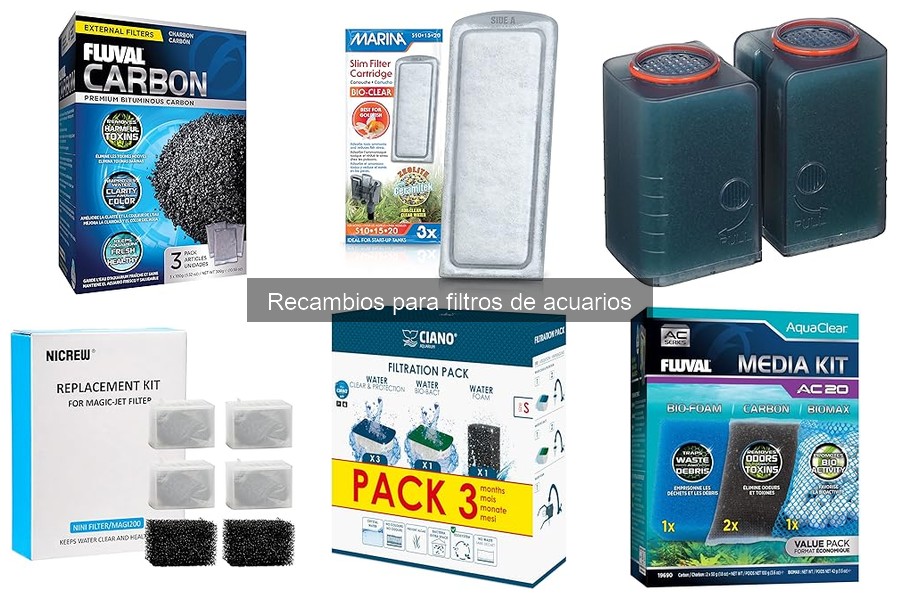 Efectos de no cambiar los recambios de tu filtro de acuario
