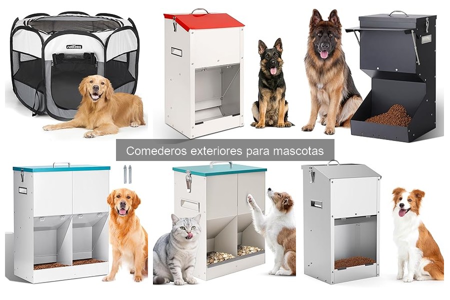 Efectos del Diseño de Comederos Exteriores en Mascotas