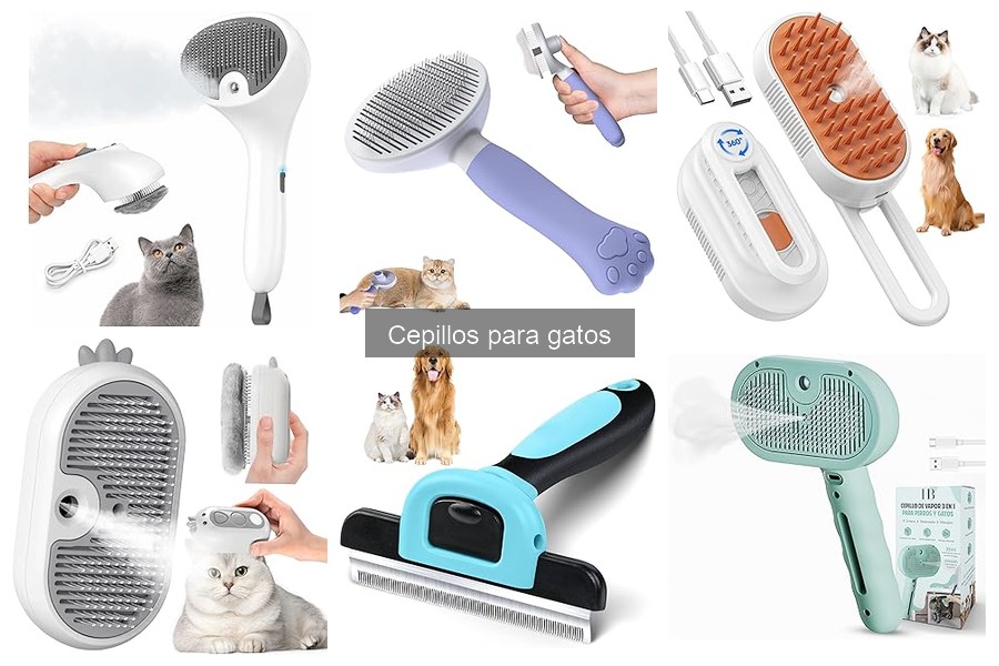 Elige el Mejor Cepillo para Gatos Según su Raza