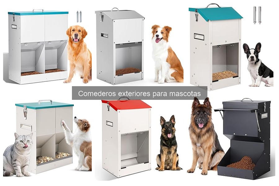 Elige el Mejor Comedero Exterior para tu Mascota