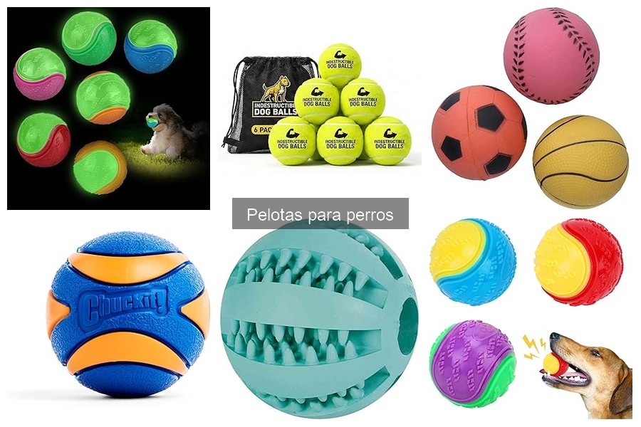 Encuentra Pelotas para Perros a Buen Precio Online y Físicamente
