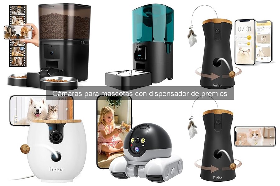 Entrena a tu mascota con cámaras y dispensadores de premios