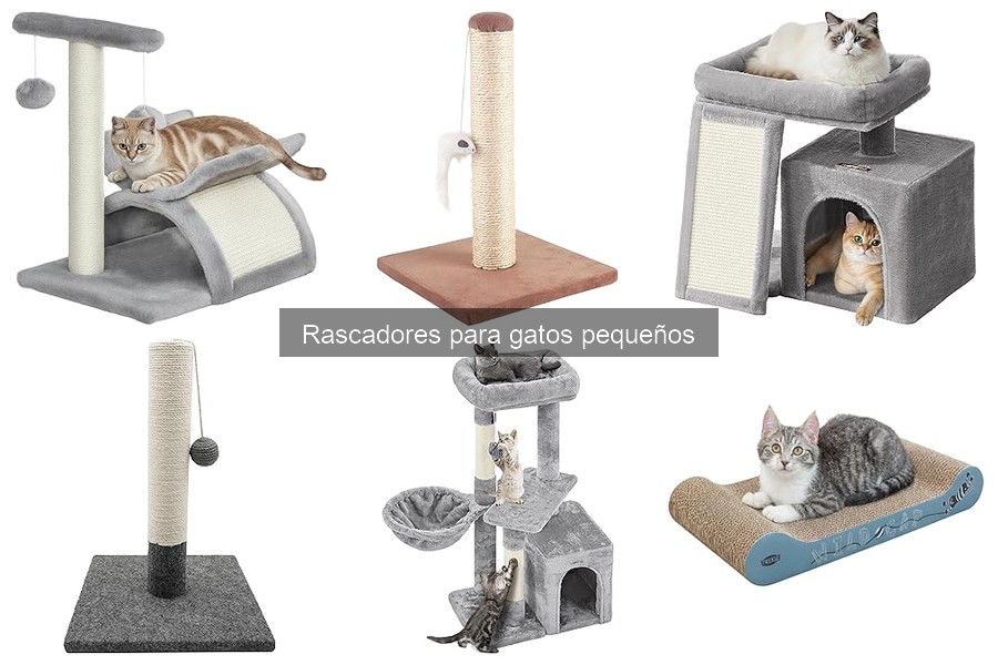 Errores al elegir rascadores para gatos pequeños