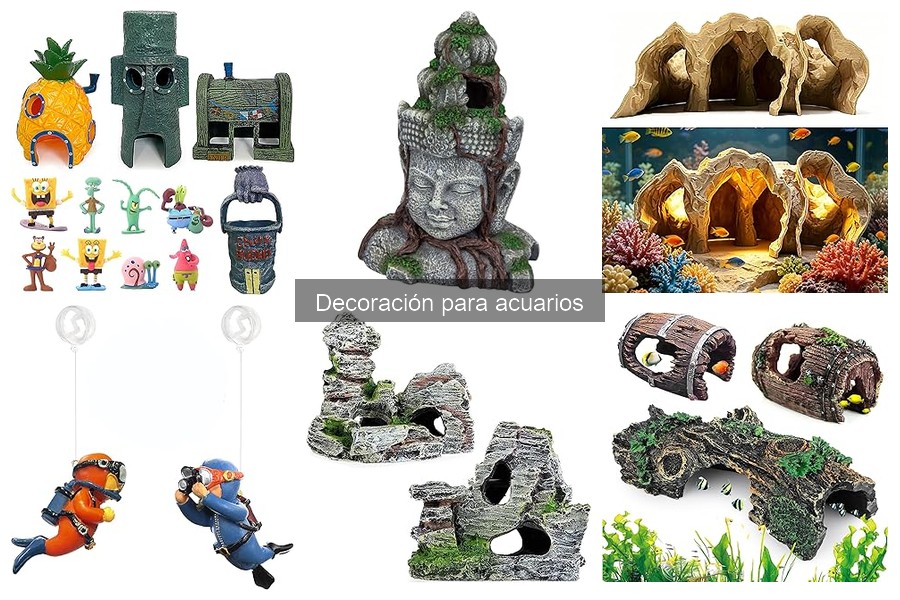 Errores comunes al decorar tu acuario: ¡evítalos!