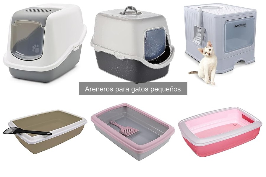 Errores comunes al elegir areneros para gatos pequeños