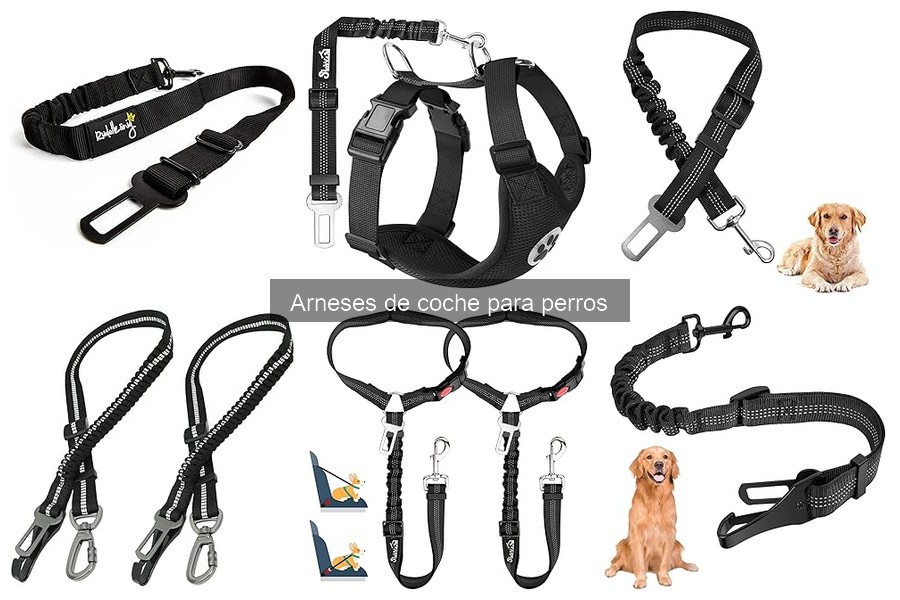 Errores comunes al elegir arneses de coche para perros