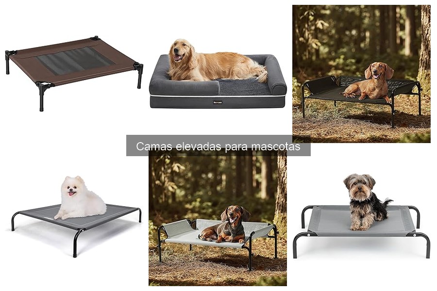 Errores comunes al elegir camas elevadas para mascotas