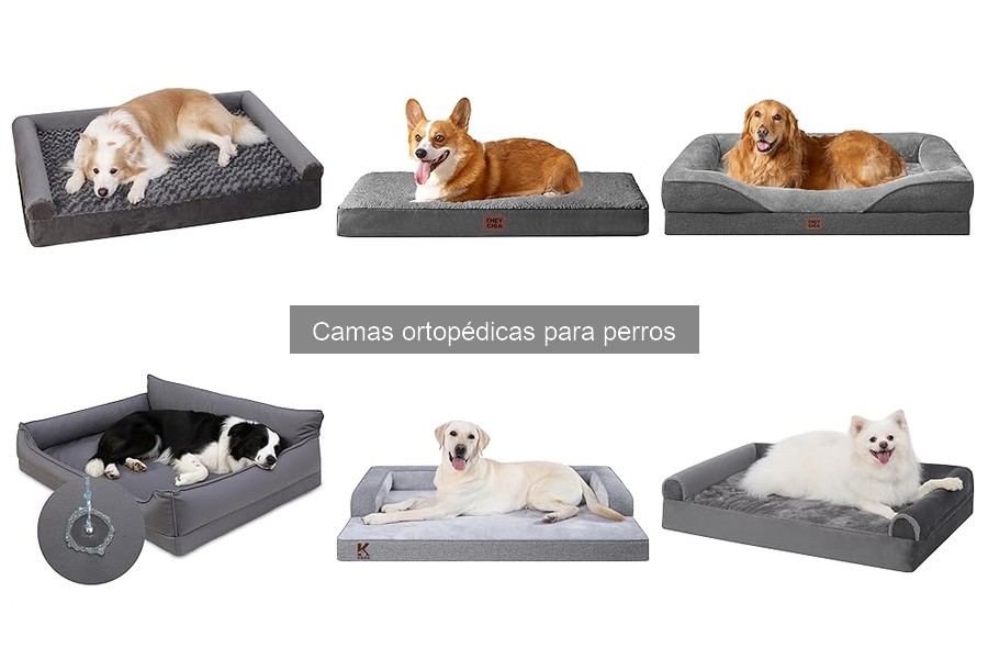Errores comunes al elegir camas ortopédicas para perros