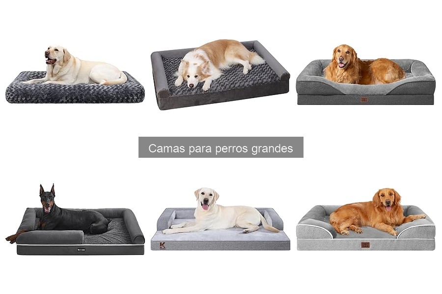 Errores comunes al elegir camas para perros grandes