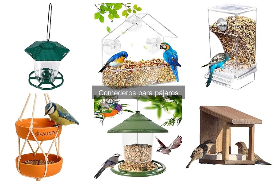 Errores comunes al elegir comederos para pájaros