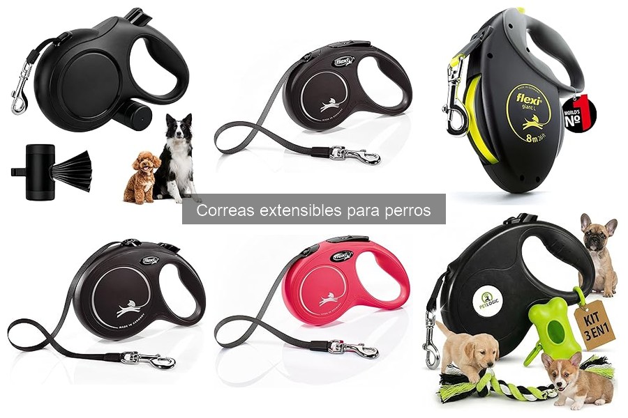 Errores comunes al elegir correas extensibles para perros