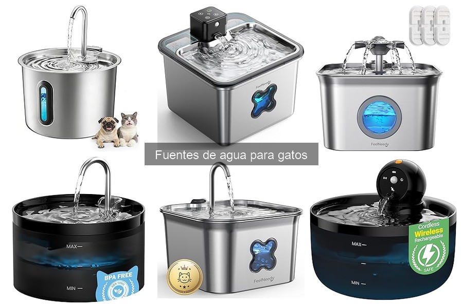 Errores comunes al elegir fuentes de agua para gatos