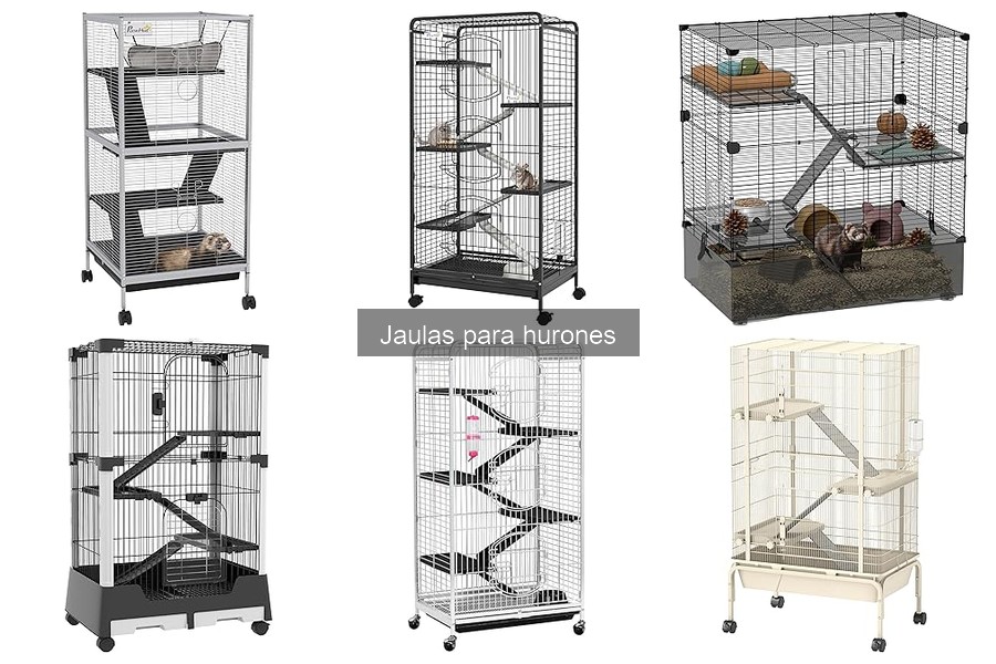Errores comunes al elegir jaulas para hurones