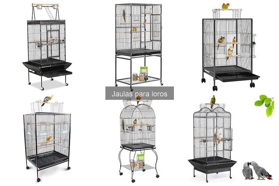 Errores comunes al elegir jaulas para loros y cómo evitarlos