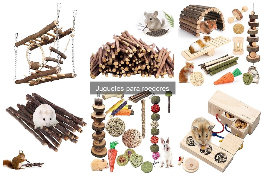 Errores comunes al elegir juguetes para roedores