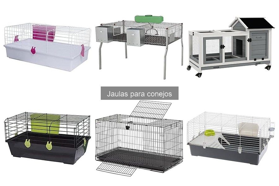 Errores comunes al elegir la ubicación de la jaula para conejos