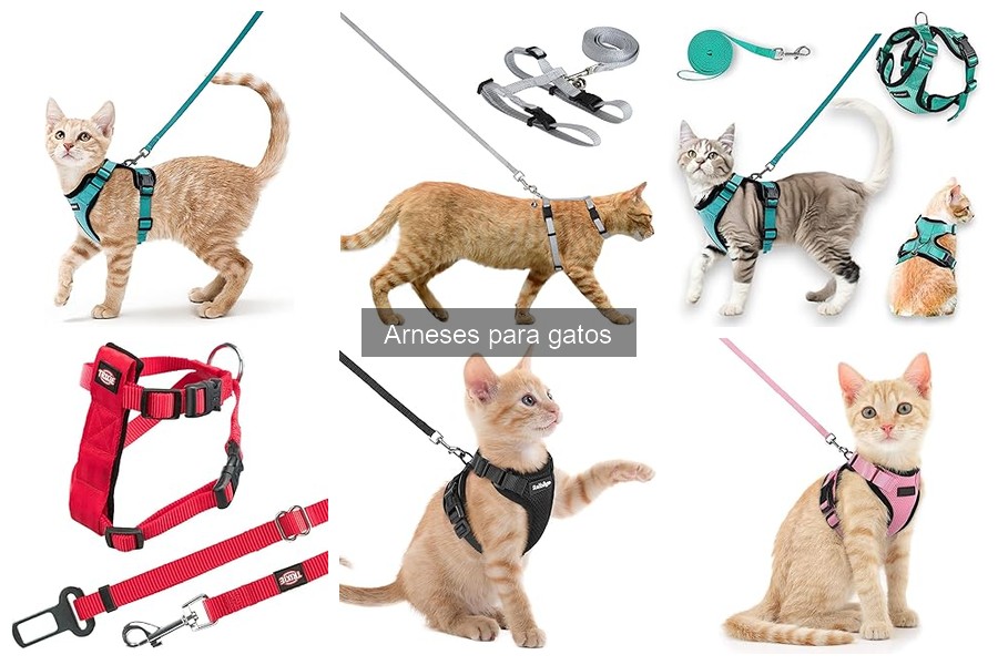 Errores comunes al elegir un arnés para gatos
