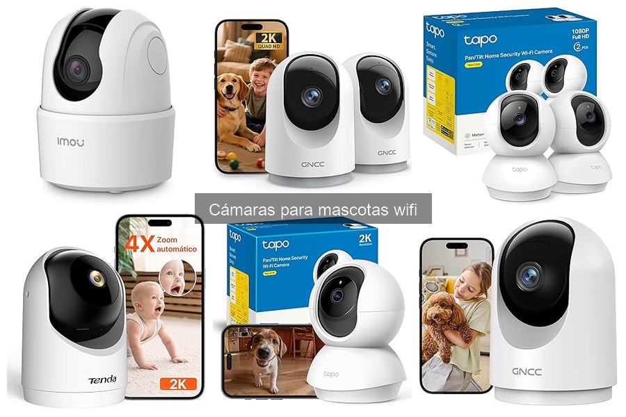 Errores comunes al instalar cámaras para mascotas WiFi