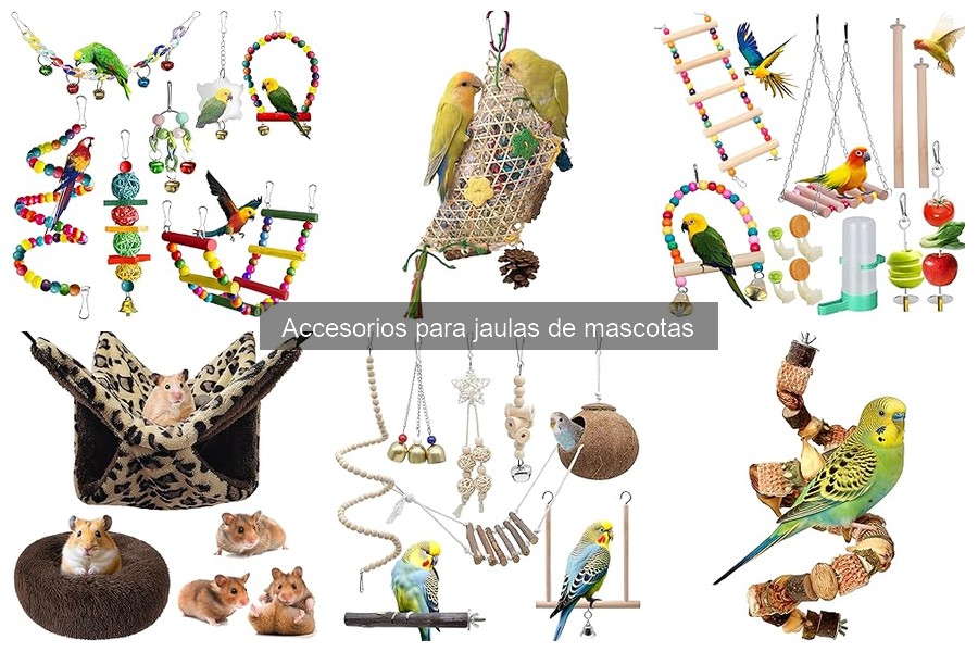 Errores comunes al usar accesorios en jaulas de mascotas